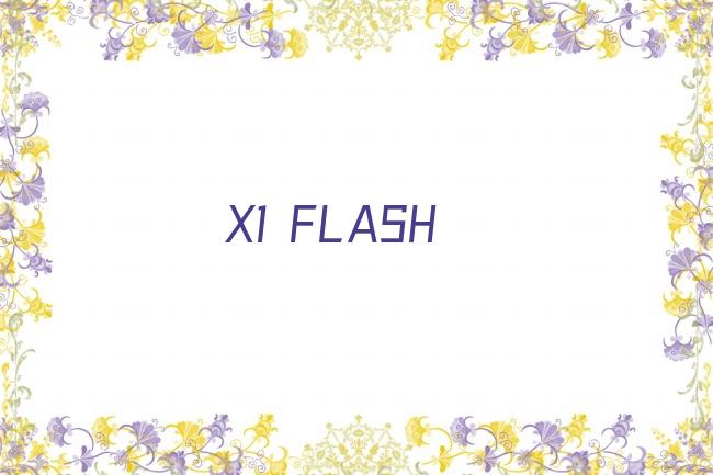X1 FLASH剧照